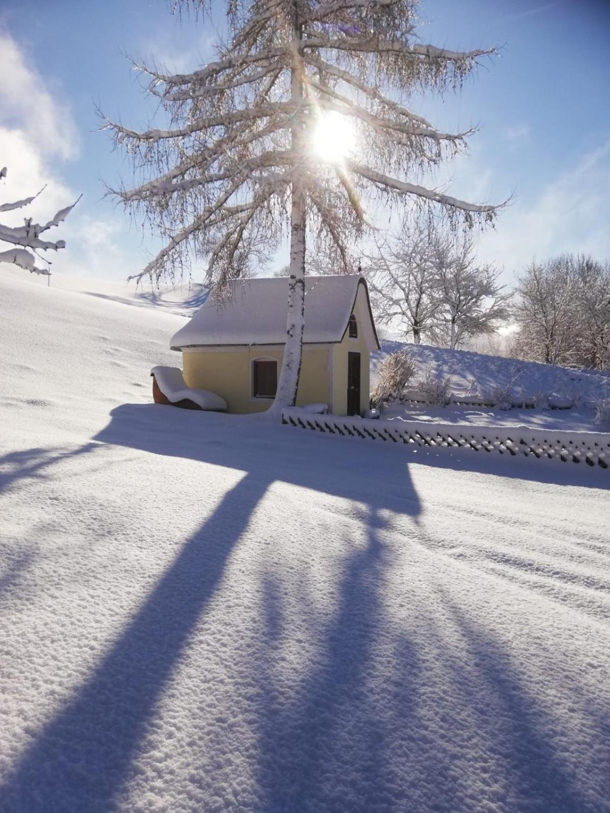 Alpenchalets Oberlaiming Иттер Екстериор снимка